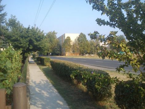 dsc01354.jpg